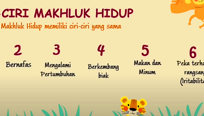 makhluk-hidup.jpg